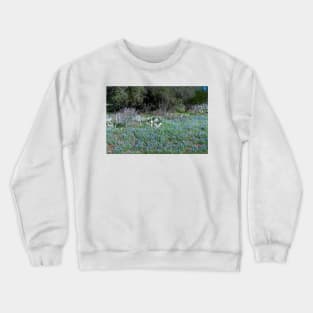 Texas Hill Country Bluebonnets in Spring Crewneck Sweatshirt